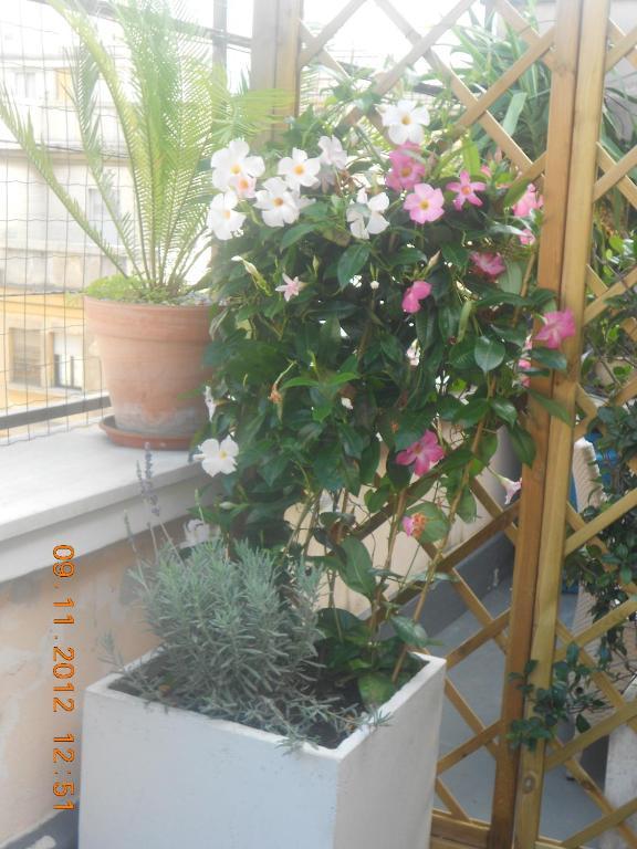 The Loft Pension Rome Buitenkant foto